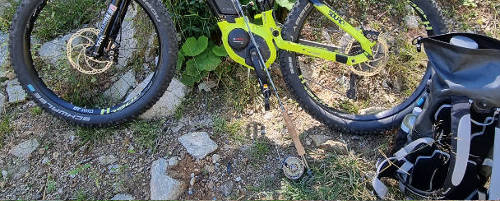MTB & Trout