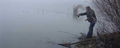 A pike's tale