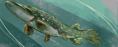 Digital fishing art