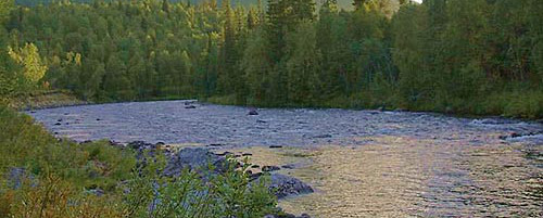 Fly fishing recipe