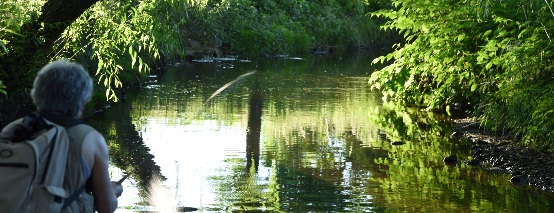 &nbsp;FLY FISHING TACTICS FOR SMALL WATERS - page 2