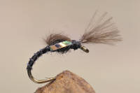 Buzzer Emerger