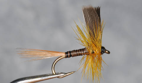 Dry-flies