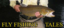 fly fishing stories in Europe & world
