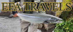 fly fishing stories in Europe & world