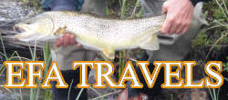 fly fishing stories in Europe & world