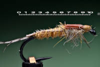 Emerging Nymph