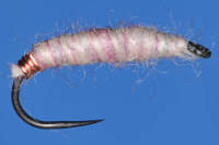 Killer Bug