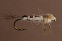 Danica nymph