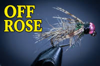 Off Rose