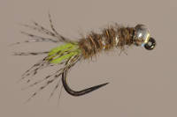 Peeping caddis