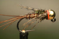 P and P nymph