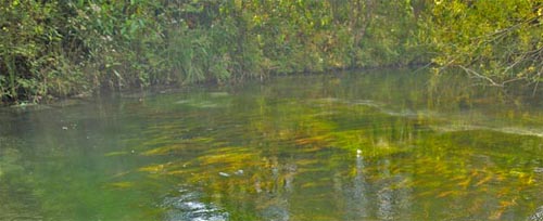 The Kleine Drau
