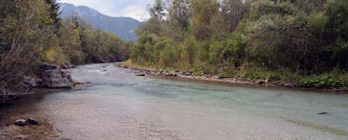 The Vellach