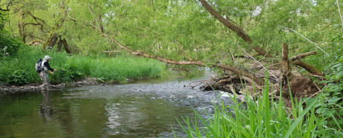 River Kyll 