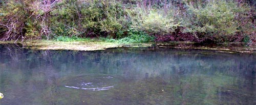  Blau, a chalk stream 
