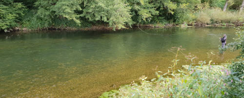 River Neckar 