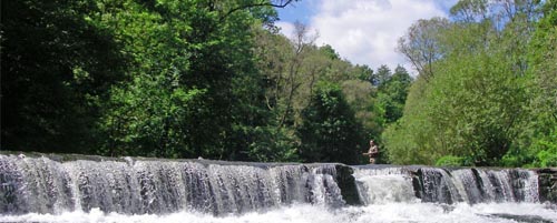 The river Schwarza
