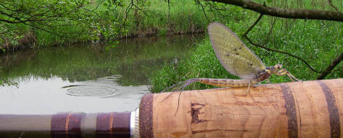 River Treene
