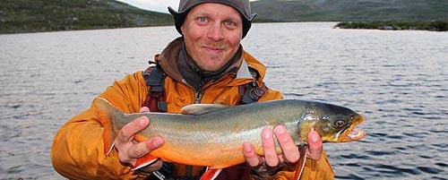 Char on the Finnish highlands