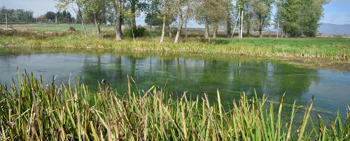 River Gacka