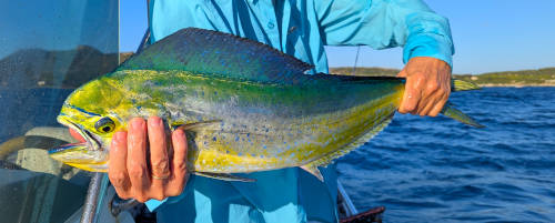 Fly Fishing Sardegna saltwater 