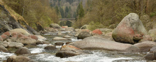River Forzo