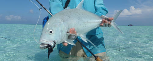 Maldives 