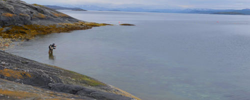 Porsanger fjord
