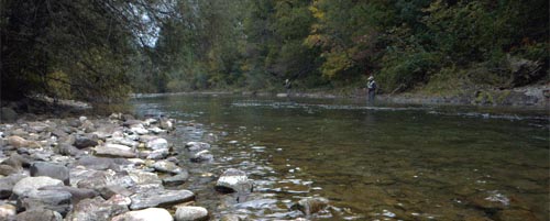 The river Savinja