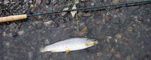  River Lutaur 