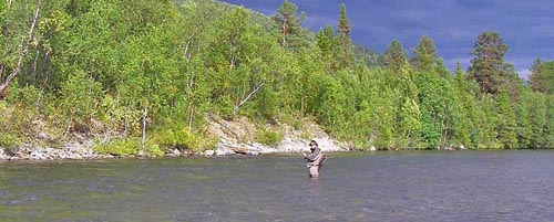 The grayling of river Tjulån