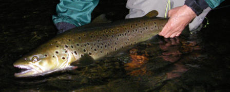 River Vindel