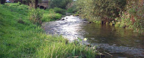 Fly fishing on the Leinleiter