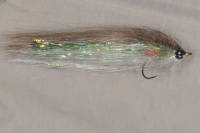 Curly fly